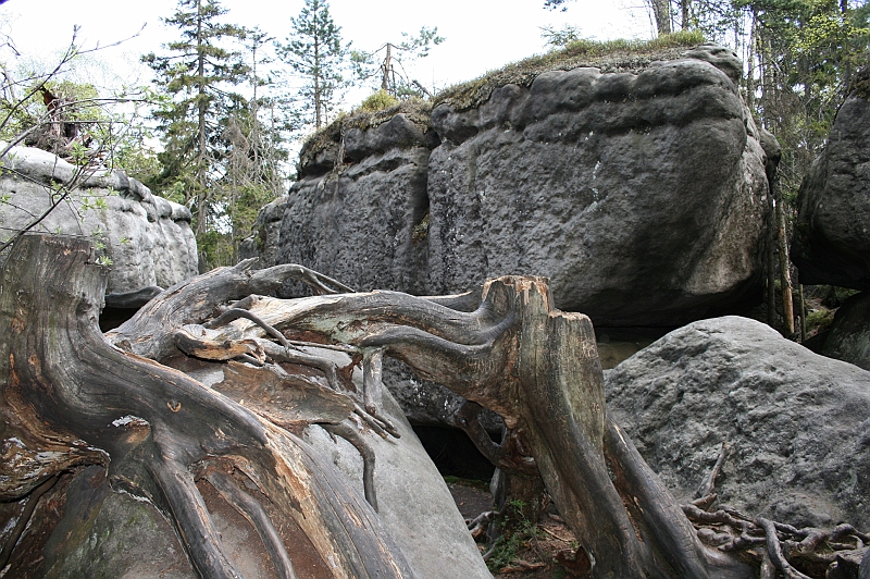 Original image